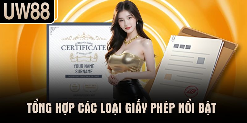 Tổng hợp các loại giấy phép nổi bật